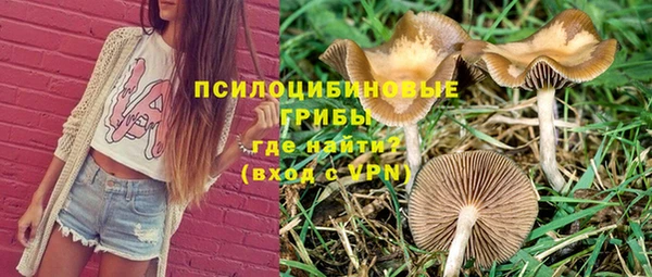 a pvp Арсеньев