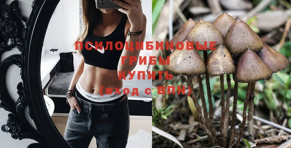 a pvp Арсеньев
